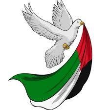 ARAB FRP TOOL [ ALUGUEL 6H ]